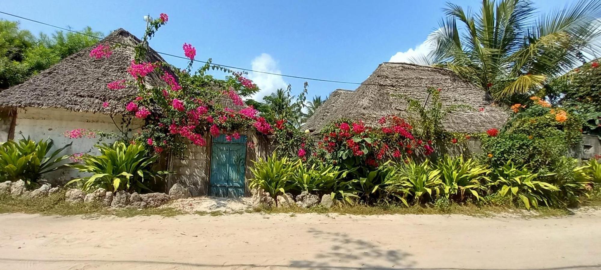 Gasthof Morningstar Zanzibar